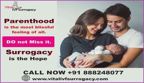 Discoveries And Insights For Blissful Parenthood